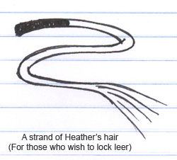 Heather Locklear Lock