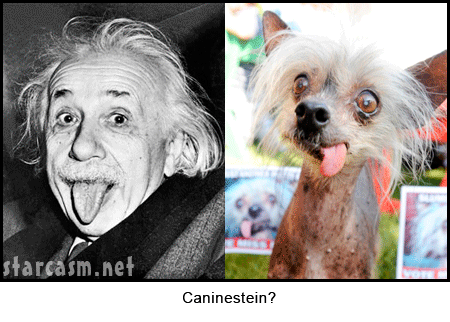 [Image: Einstein_tongue.gif]