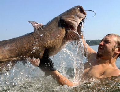 Hillbilly Hand Fishing on Noodling Comes To Tv In Hillbilly Hand Fishin  With Skipper Bivins