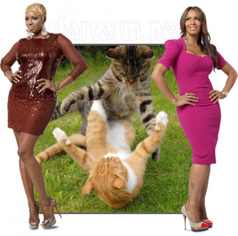 Nene Leakes and Sheree Whitfield are in a catfight over Real Housewives of Atlanta Season 4