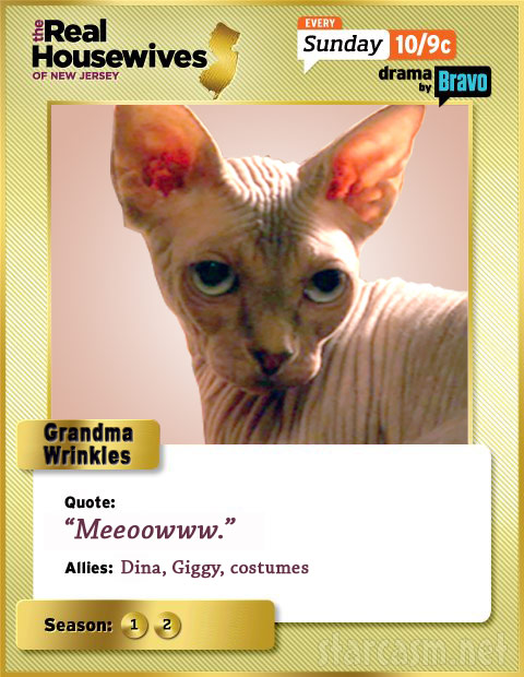 RHONJ trading card Grandma Wrinkles Grandma Wrinkles Real Housewives of New Jersey trading card