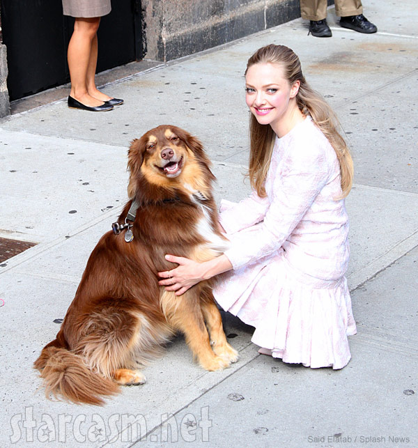 PHOTOS VIDEO Amanda Seyfried's dog Finn Seyfried is just the cutest!