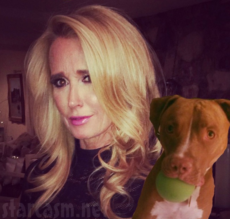 Last week, Kyle Richards revealed daughter Alexia Umansky was hospitalized after being attacked by a pit bull — who was later confirmed to be Kim Richard&#39;s ... - Kim-Richards-Dog-Kingsley
