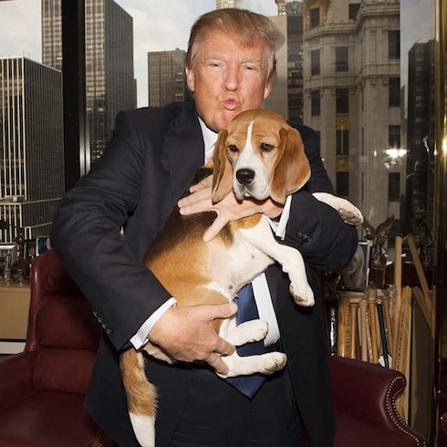 Trump-sad-dog.jpg