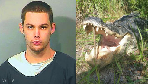 alligator florida man eaten foot old police while riggins matthew trying year hiding starcasm gator county after kills his hide