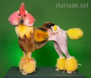 Poodle groomed as a chicken photographed by Ren Netherland