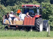 Kate Gosselin takes the kids on a hay ride at a farm in Reading.