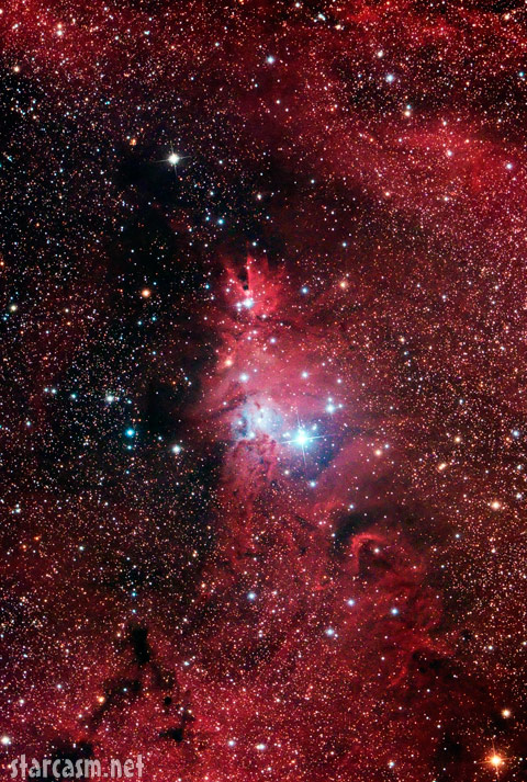 The Christmas Tree Nebula rotated