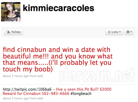 Kimmie Caracoles tweets a reward for whoever finds Jesse James' dog Cinnabun