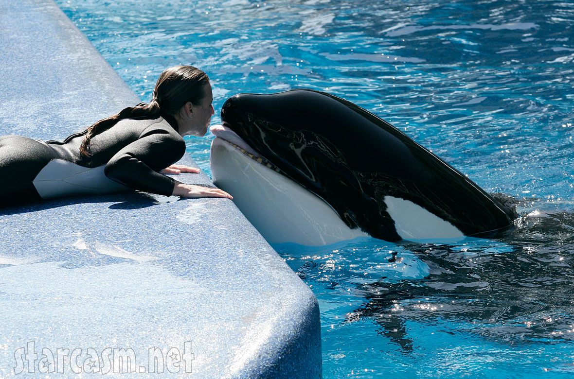 The pictures above were taken in March of 2009 with killer whale Nalani. 