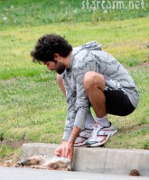 Adrian Grenier removes a dead dog from the side of the road