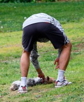 Adrian Grenier checks the tags on a dead dog