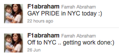 Teen Mom tweets support of New York's gay pride