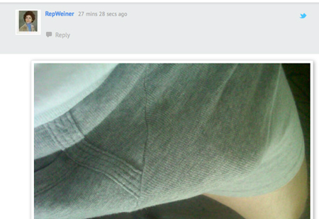 Anthony Weiner's tweet photo of bulging briefs