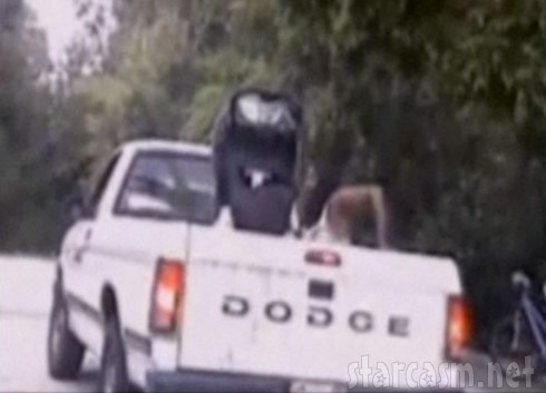 Keyona Davis just before she was arrested for riding with a baby in the bed of a pickup truck