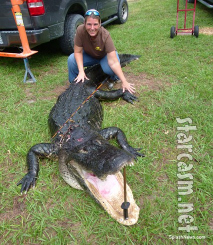 VIDEO PHOTOS Florida teen catches 800lb alligator with fishing rod