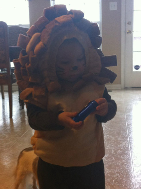 Kailyn Lowry's son Isaac as a lion