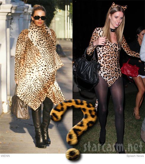 Difference Between Leopard And Cheetah Print Photos Cheetach Vs Leopard Print