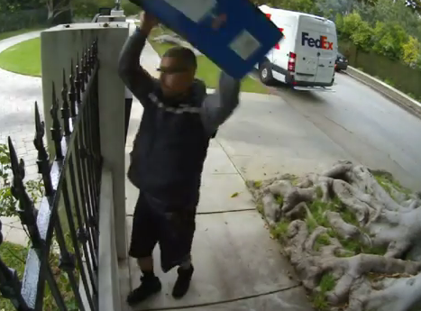 Worst FedEx delivery ever caught on video