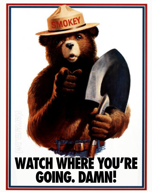 Smokey the Bear poster