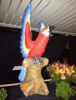 Here's a bird Nelson needed a photo of.