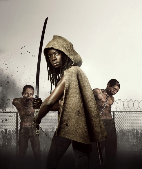 Danai Gurira as Michonne from The Walking Dead Season 3 wallpaper