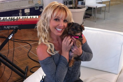 Britney-Spears-Dog-Hannah