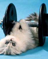 Working out four times a week may be better than six