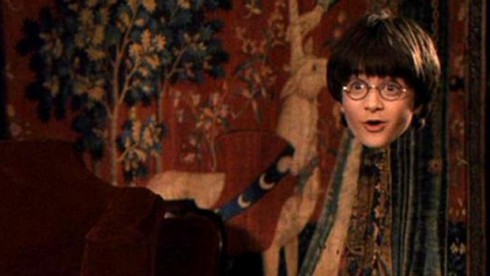 Harry Potter invisibility cloak
