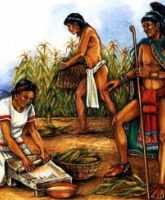 What is the Aztec Diet? Is it worth trying?