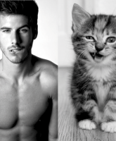 Des Hommes et des Chatons
