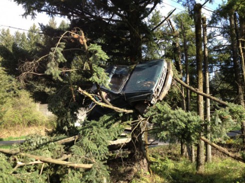 truck-in-tree-2-658x493