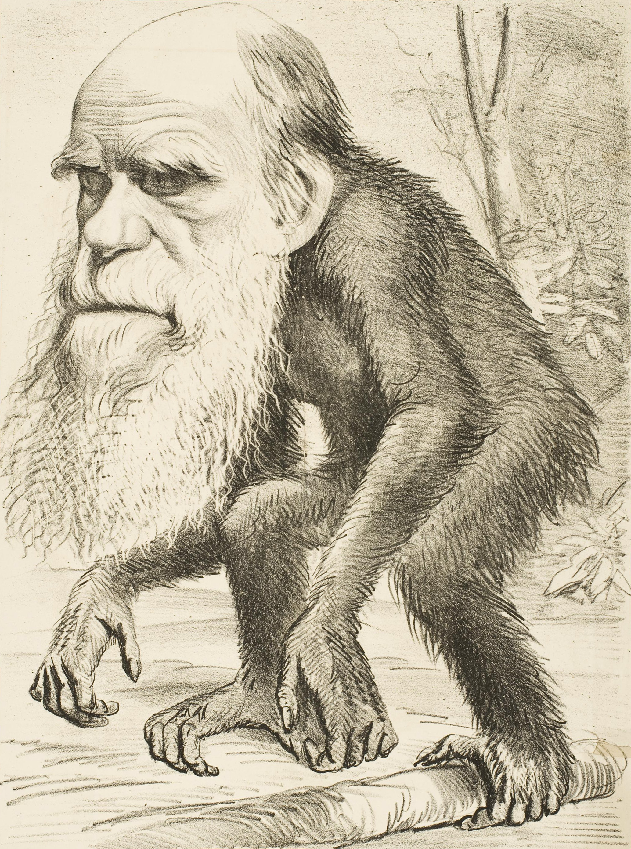 Sorry, Darwin! Research shows human intelligence is in steady state of decline