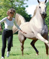 Prancercise, the joyful workout inspired by horses