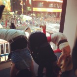 Teen Mom 3 cast having fun in New York City