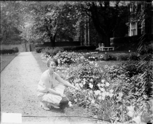 ginevrakingflowers