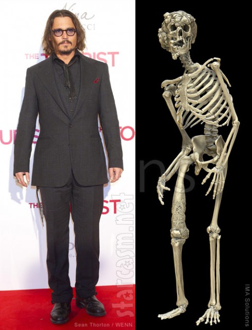 Johnny Depp owns a life-size replica of the Elephant Man's skeleton