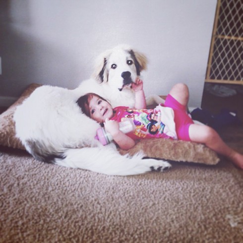 Arri BFF with Dog