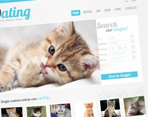 Online dating for single cat love…