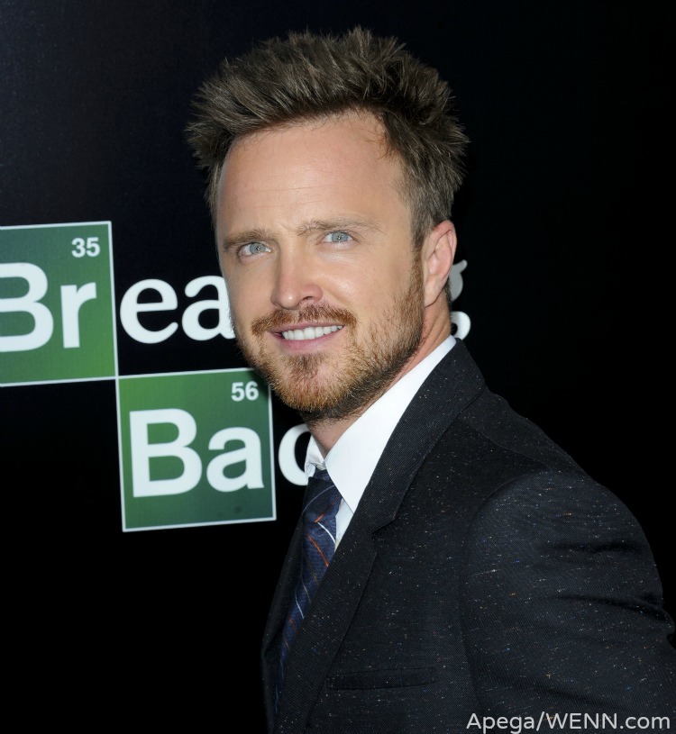 Aaron Paul talks acting, underwear and Breaking Bad during Reddit AMA