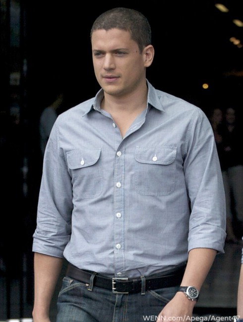 Is Wentworth Miller gay? Prison Break star reveals sexuality by ...