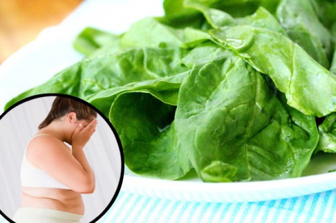 Eating Disorder Research - Leslie Sim