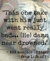 REPORT No animals harmed? American Humane Association routinely covers up on-set animal injuries