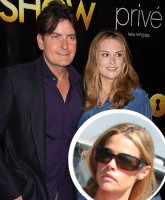 Denise Richards to relinquish guardianship of Brooke Mueller’s twins, says they try to kill her dogs