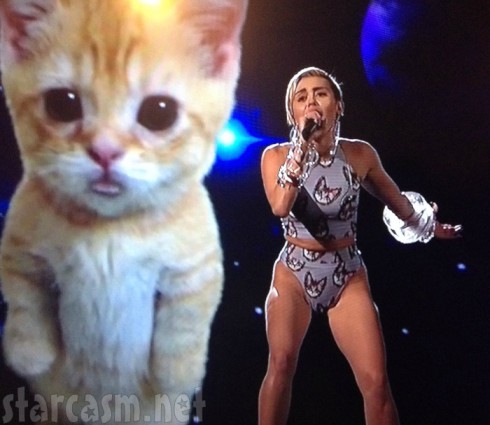 Miley Cyrus Cat AMAs 2013