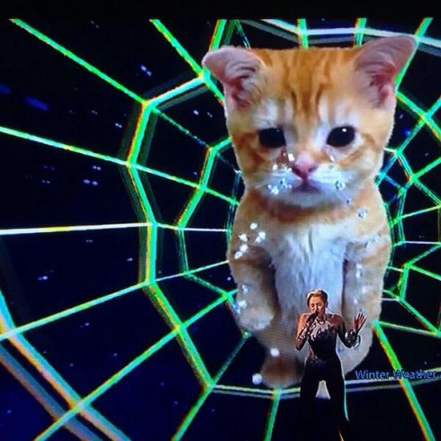 Miley Cyrus Cat Outfit AMAs