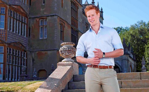 I Want to Marry Harry - Matthew Hicks