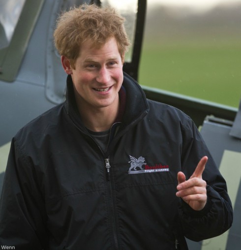 Prince Harry - I Want to Marry Harry