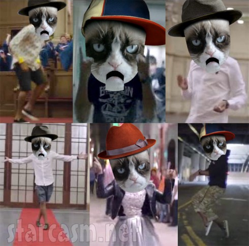 Grumpy Cat singing Happy by Pharrell Williams screen caps