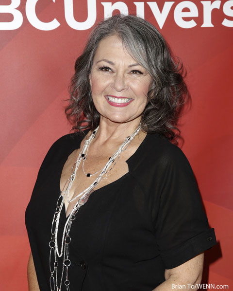 61-year-old former sitcom queen Roseanne Barr has tried a lot of different ...